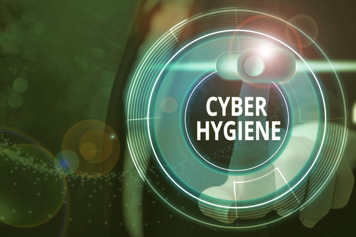 Sentinel Forge Cyber Hygiene